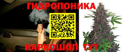 эйфоретик Краснокаменск