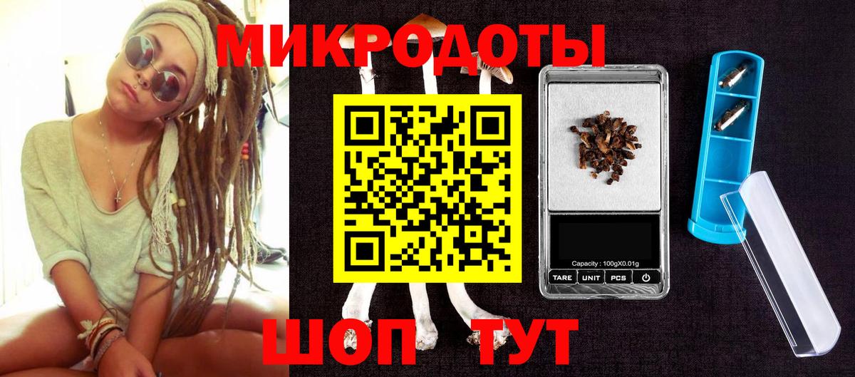Кингисепп  Псилоцибиновые грибы прущие грибы  Вход с VPN 